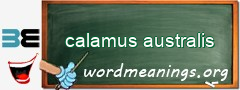 WordMeaning blackboard for calamus australis